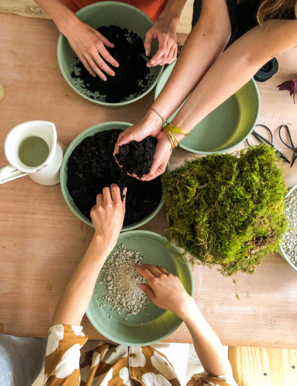 atelier créatif enfant toulouse plante fleurs