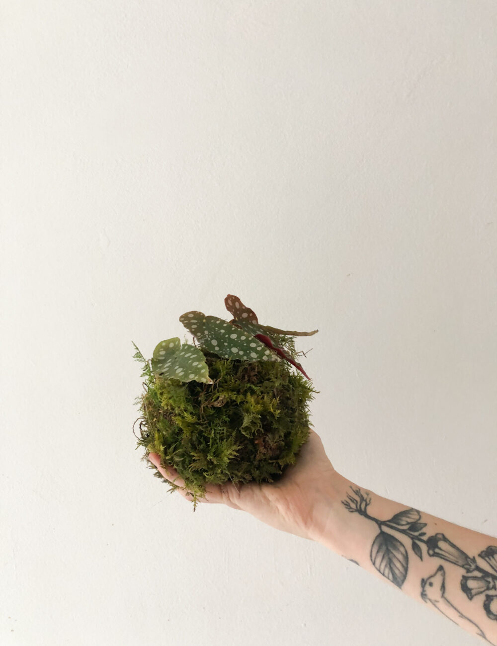 atelier kokedama toulouse diy cours art floral idée cadeau femme offir plante verte japonais mousse des bois fleurs séchées